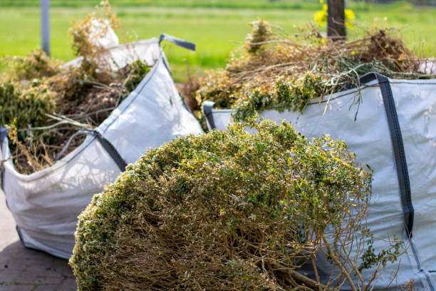 Best Property Management Cleanouts  in Alma, AR